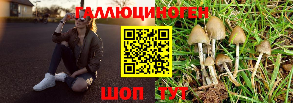 Павловский Посад  Псилоцибиновые грибы мицелий  Галлюциногенные грибы Psilocybine cubensis  Вход с VPN 