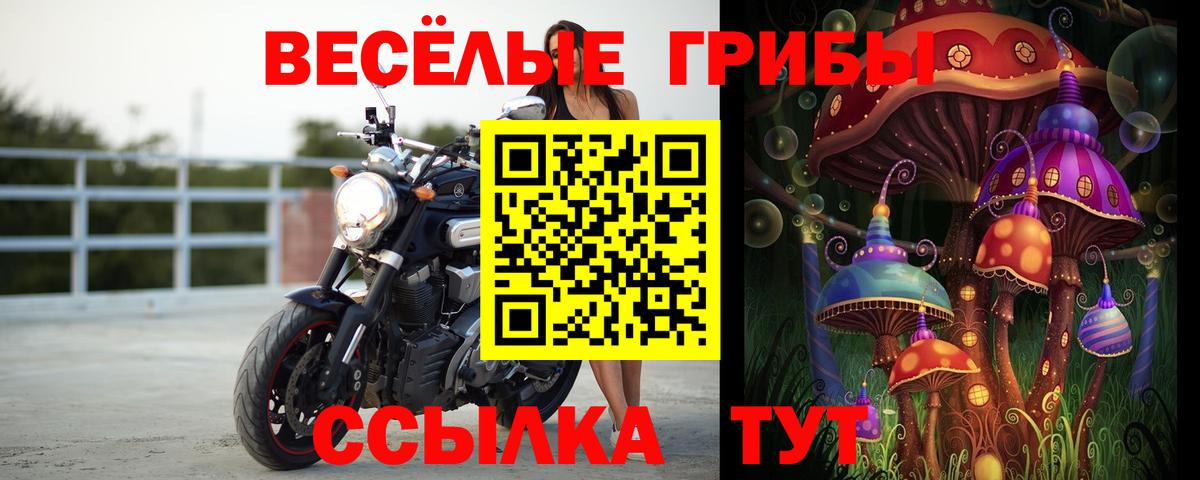 Псилоцибиновые грибы прущие грибы Павловский Посад